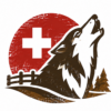 Website-Icon